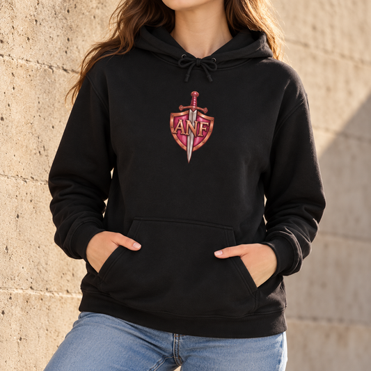 Christian Hoodie, Sword & Shield Graphic – Faith Armor by ARMED N FAITH